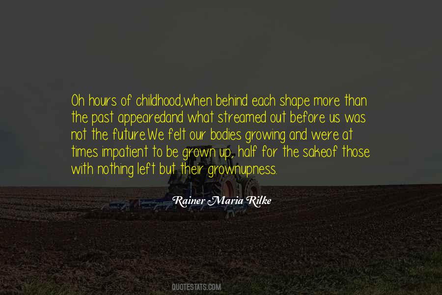 Quotes About The Future Not The Past #112396