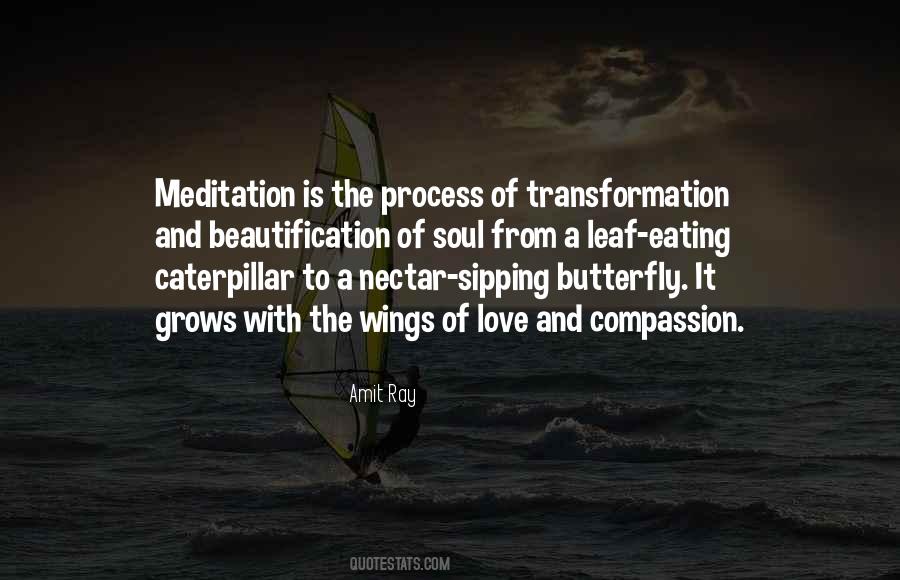Quotes About Wings Of A Butterfly #1214400