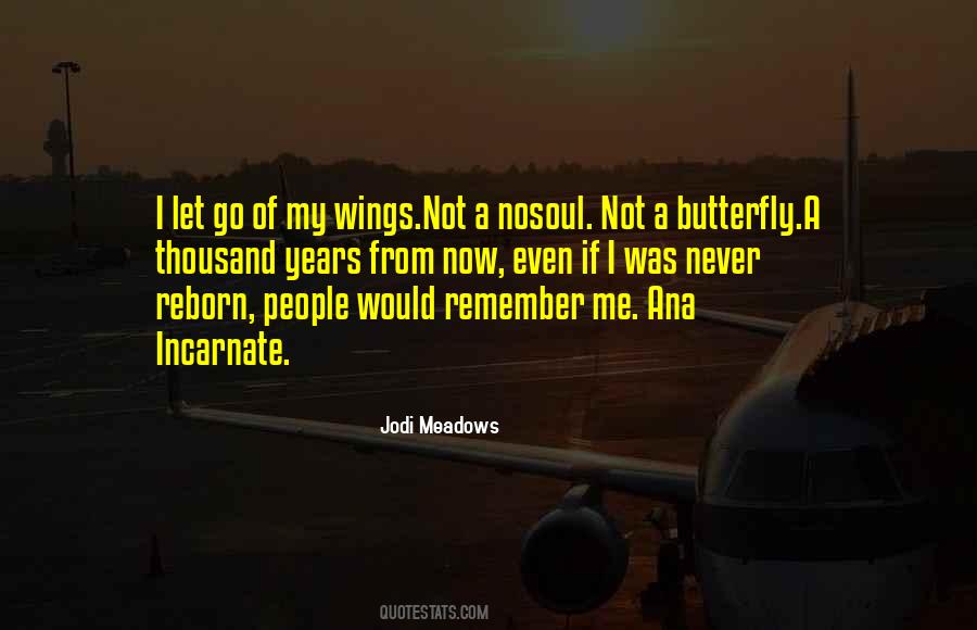 Quotes About Wings Of A Butterfly #1304281