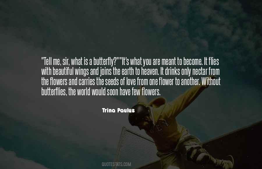 Quotes About Wings Of A Butterfly #1307390