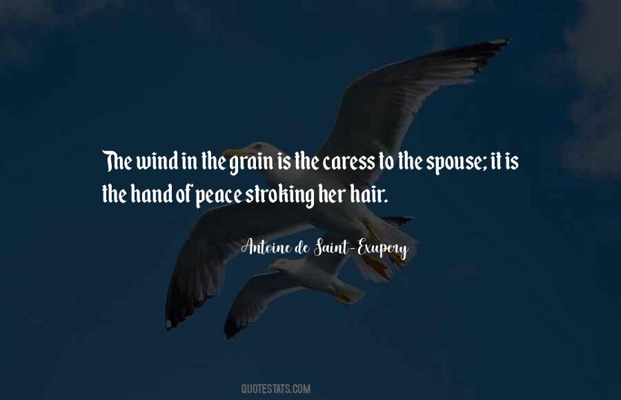 Quotes About Hair In The Wind #1302817
