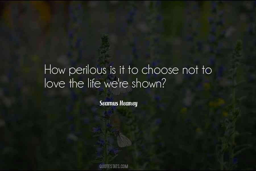 Love Shown Quotes #381250