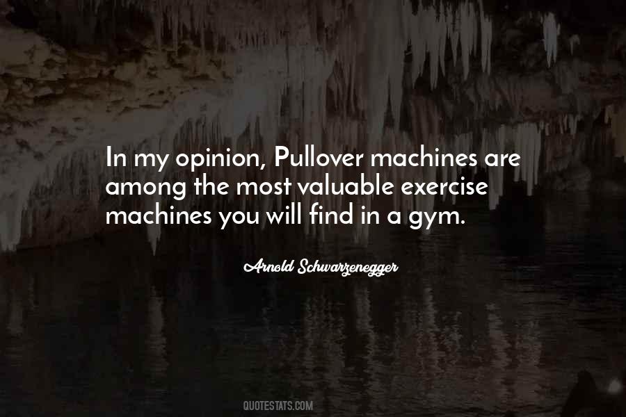Quotes About Pullover #915399
