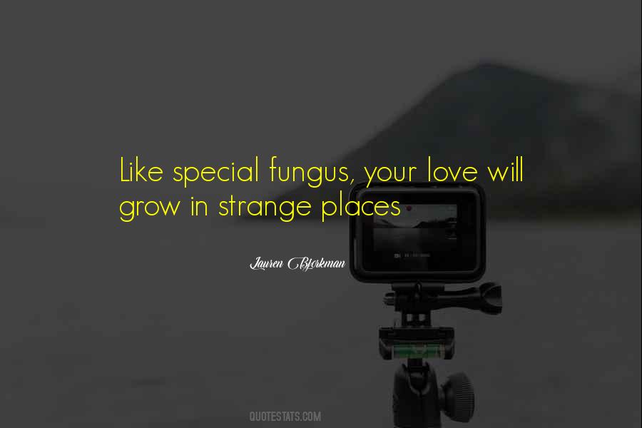 Quotes About Special Places #703063