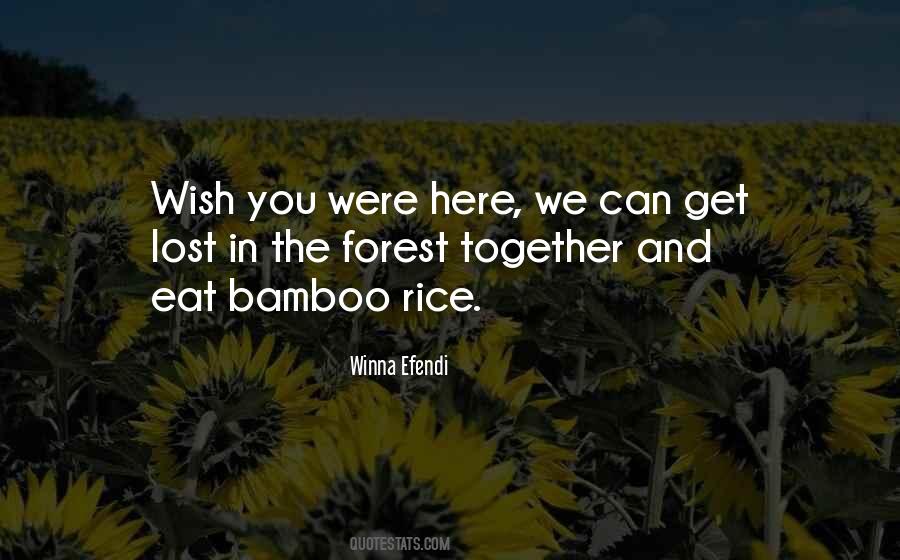 Quotes About Wish You Were Here #734204