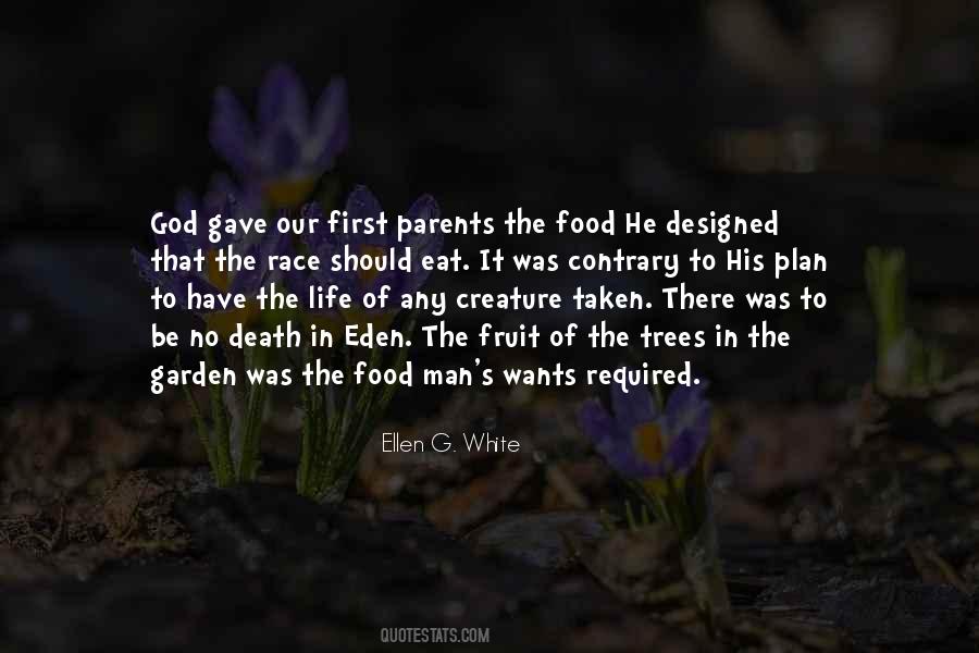 Quotes About The Plan Of God #392571