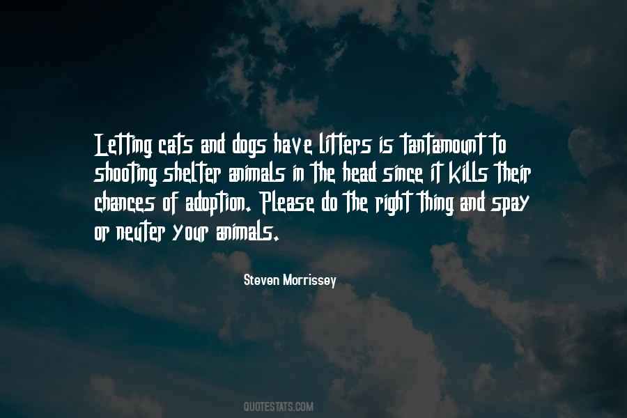 Quotes About Shelter Animals #291136