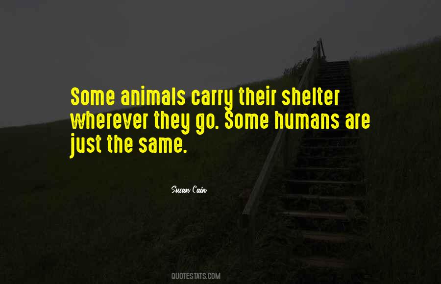 Quotes About Shelter Animals #639279