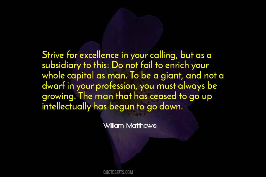 Quotes About Excellence #1836577