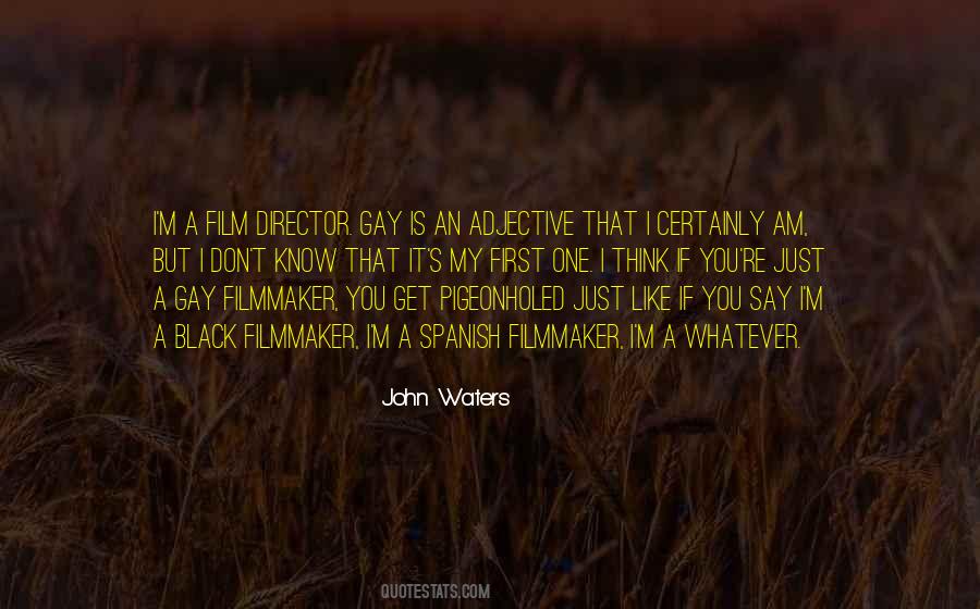 Black Filmmaker Quotes #1771174