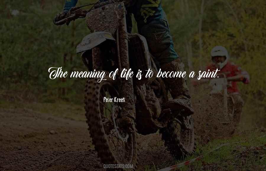 Quotes About Meaning Of Life #1022881