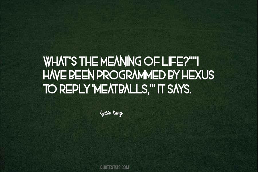 Quotes About Meaning Of Life #1059691