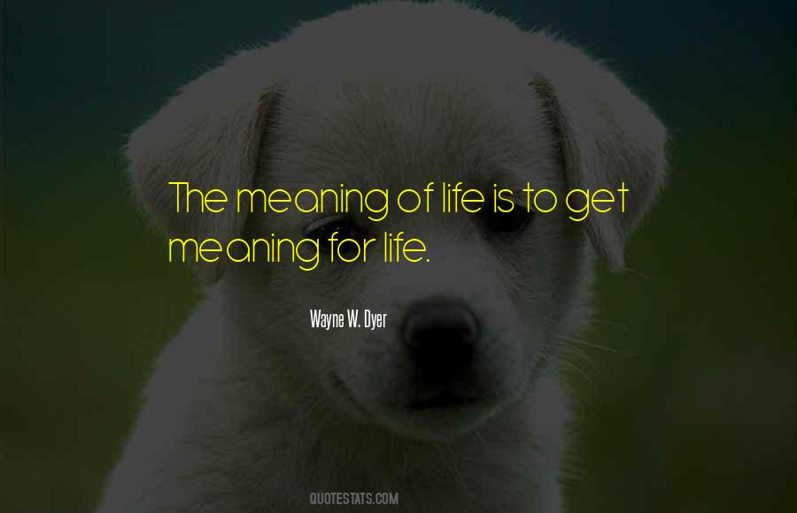 Quotes About Meaning Of Life #1089596