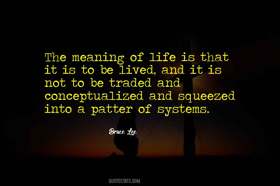 Quotes About Meaning Of Life #1107516