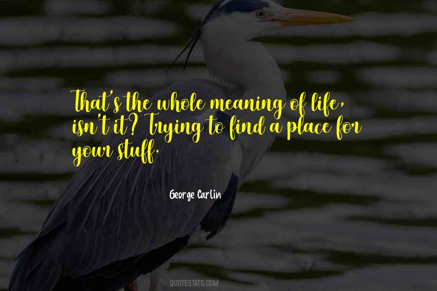 Quotes About Meaning Of Life #1236836