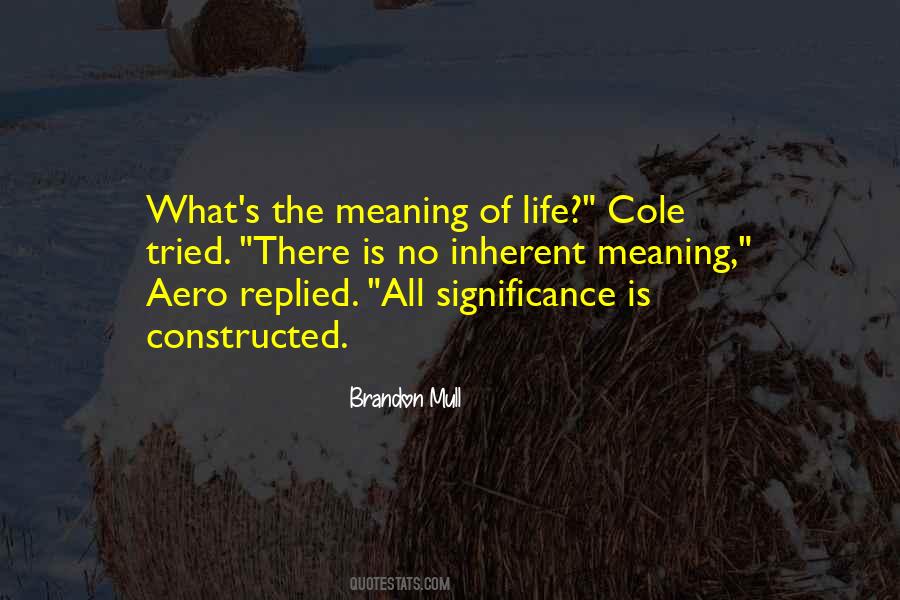 Quotes About Meaning Of Life #1247876