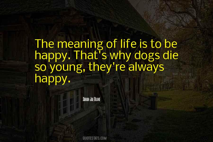 Quotes About Meaning Of Life #1647560