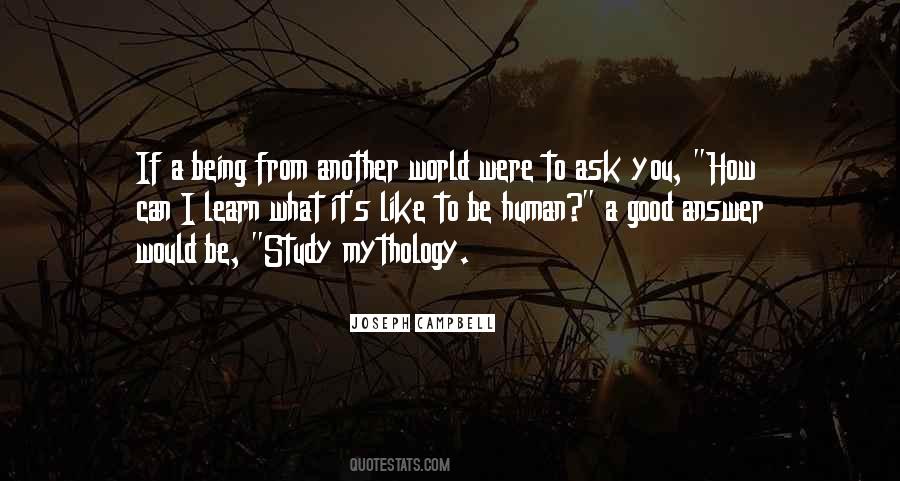 What It S Like Quotes #1074269
