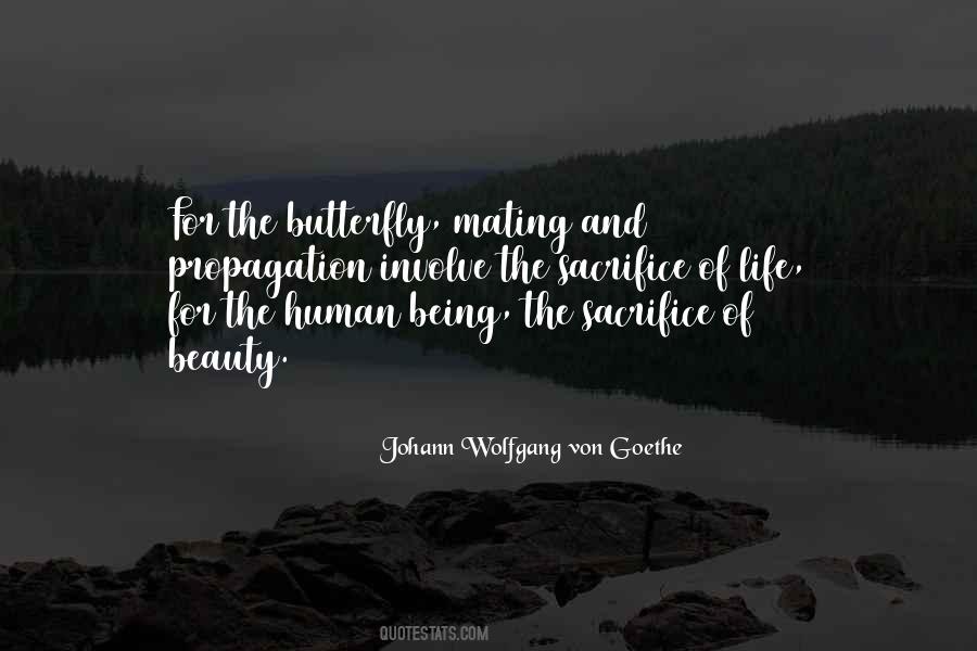 Quotes About Butterfly #1261320