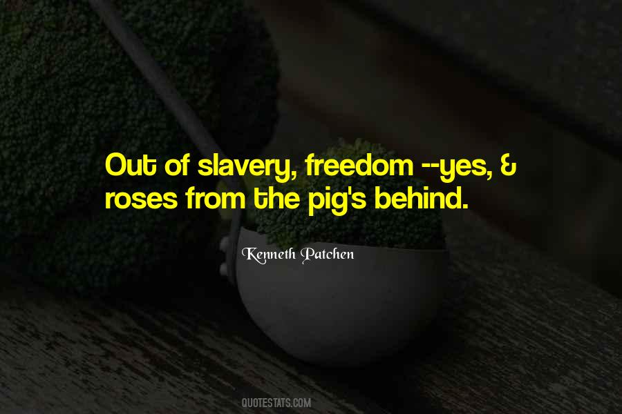 Quotes About Freedom From Slavery #1455347