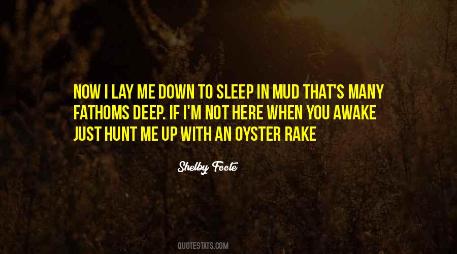 Quotes About Deep Sleep #261338