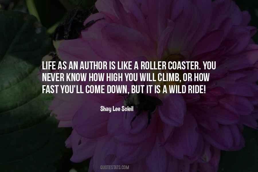 Roller Coaster Life Quotes #1138064