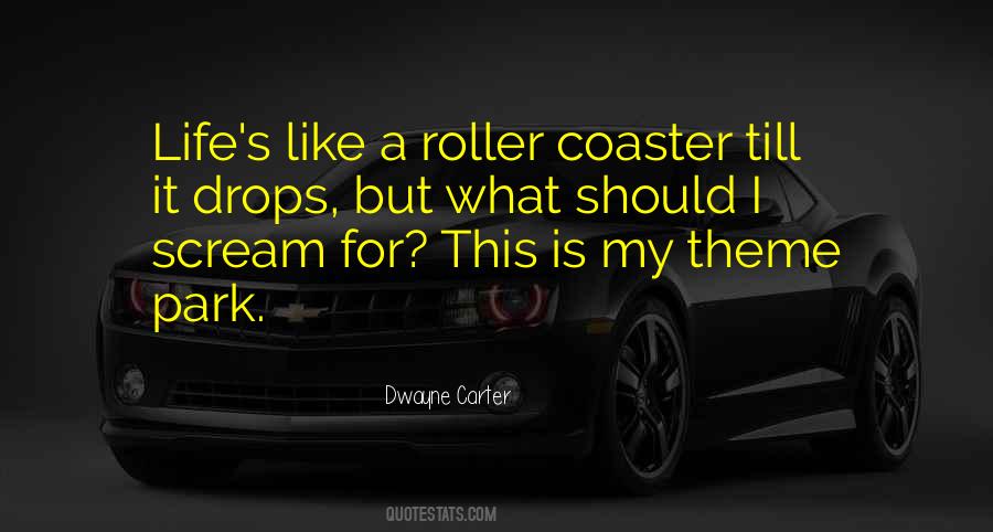 Roller Coaster Life Quotes #1138199