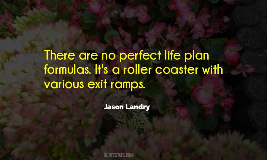 Roller Coaster Life Quotes #1723031