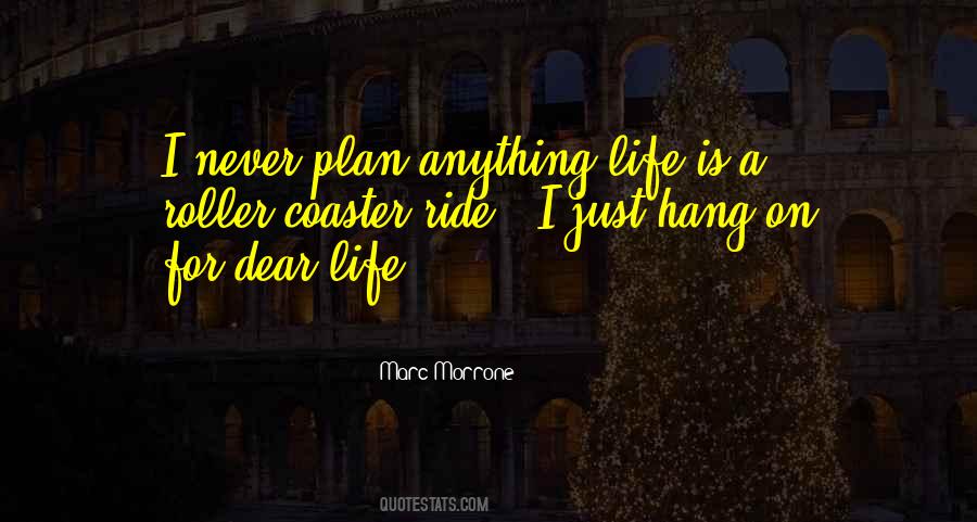 Roller Coaster Life Quotes #1731571