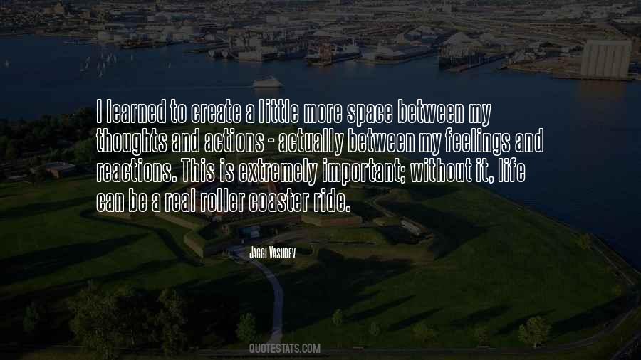 Roller Coaster Life Quotes #1842556