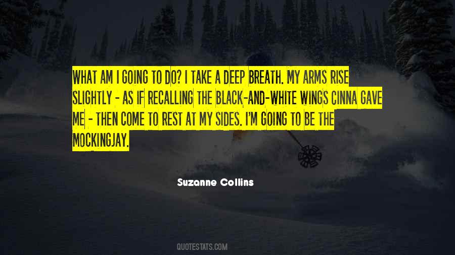 Quotes About Black Wings #984375