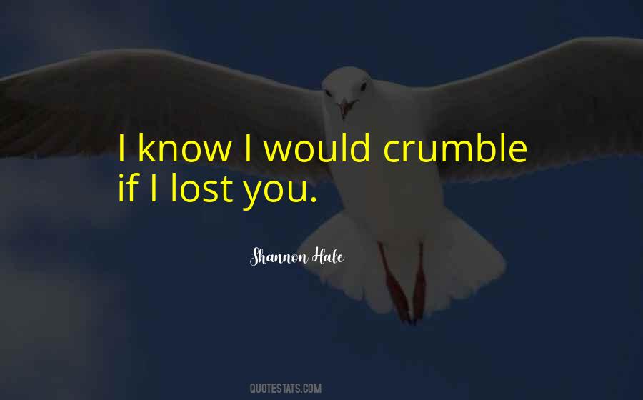Lost You Quotes #1344377