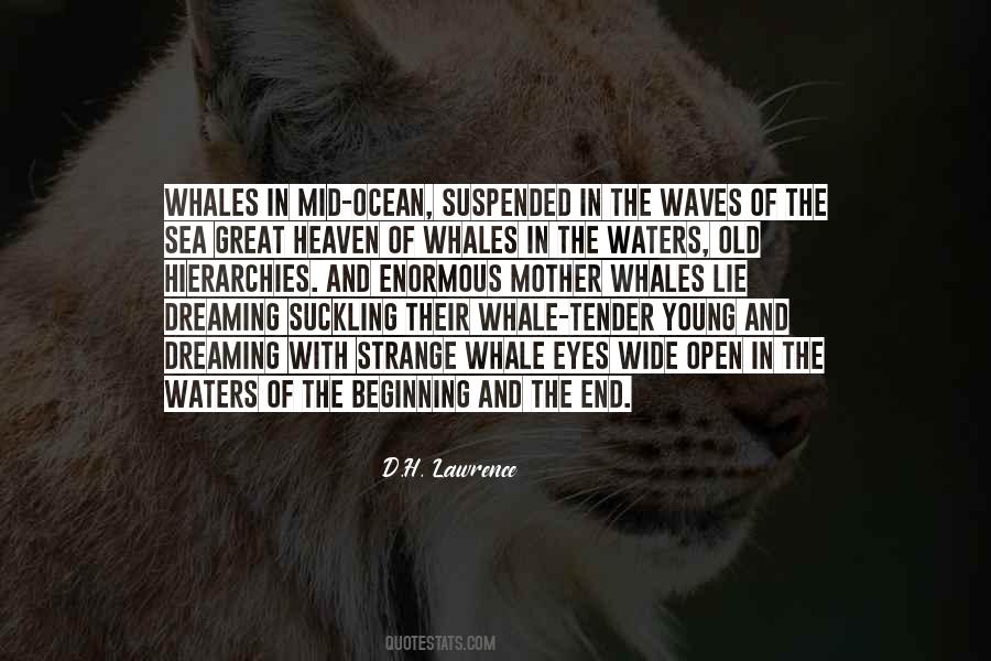 Quotes About Eyes Wide Open #126224
