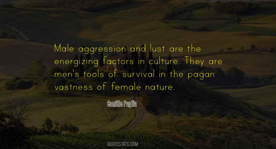 Quotes About Male Aggression #904040