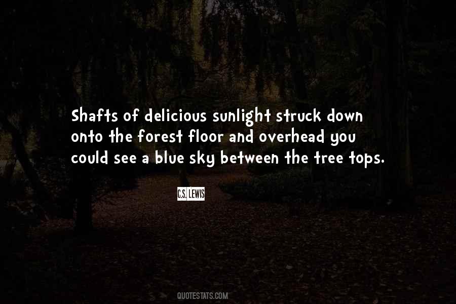 A Blue Sky Quotes #678197