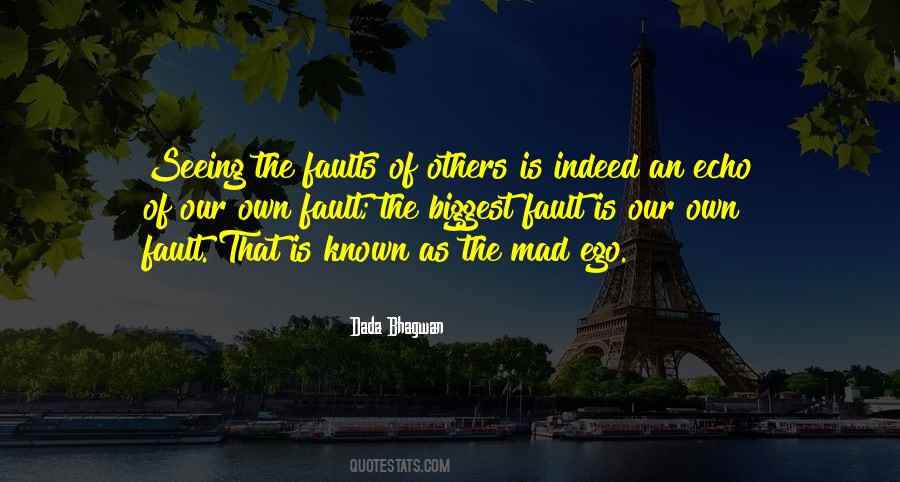Quotes About Seeing Faults In Others #439392