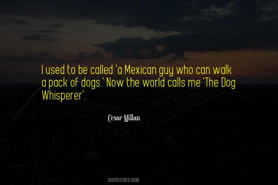 Quotes About The Dog #1036548