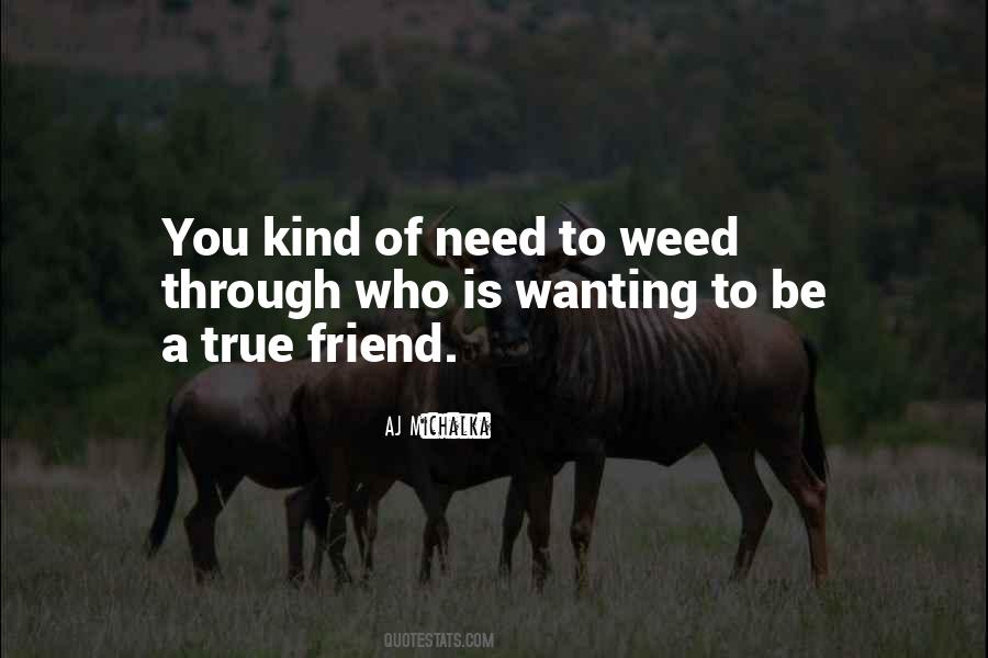 Quotes About When You Need A Friend #120776