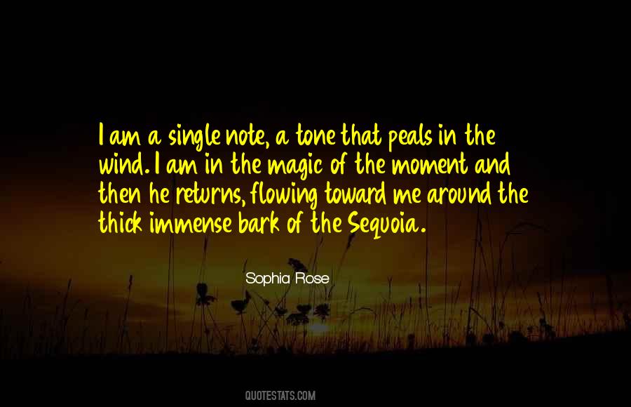 Song Of Your Soul Quotes #401544