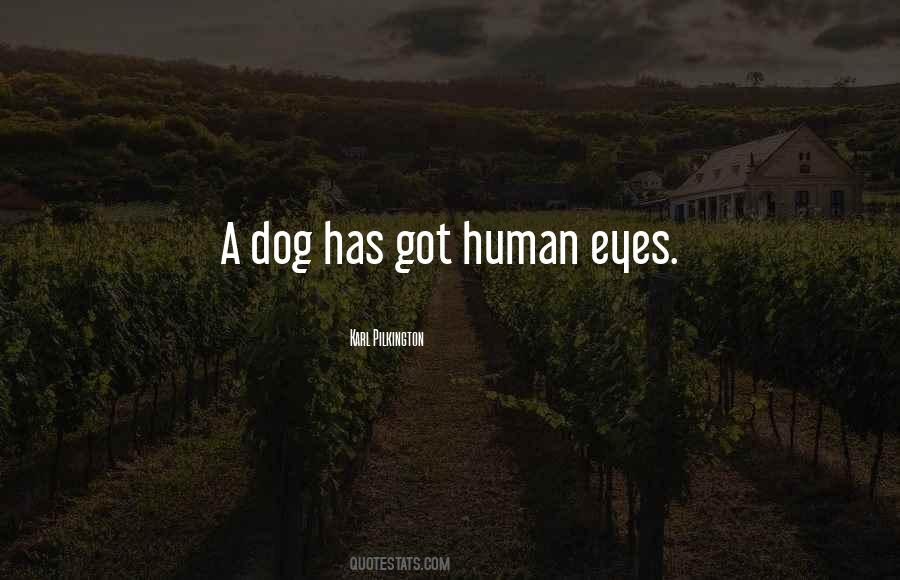 Quotes About The Eyes Of A Dog #1602516