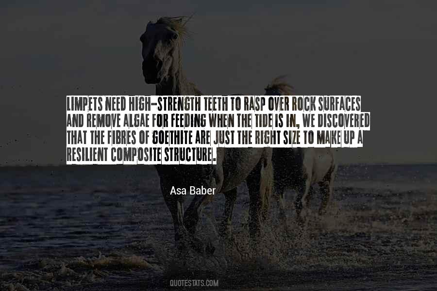 Quotes About Size And Strength #1311287
