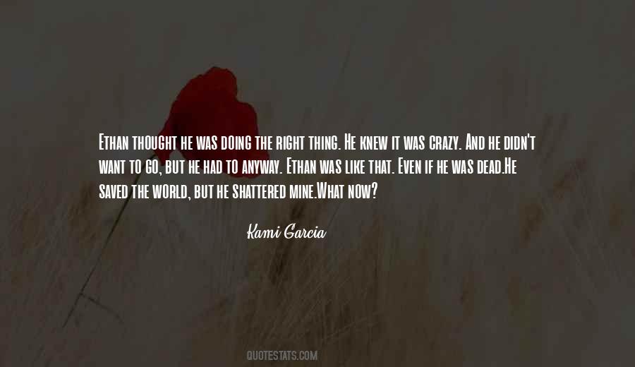Quotes About Doing It Anyway #135146