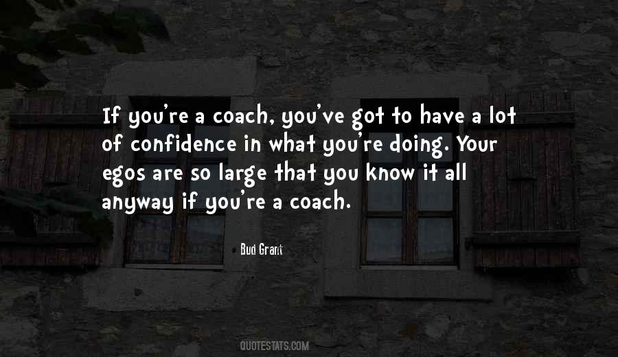 Quotes About Doing It Anyway #1421490