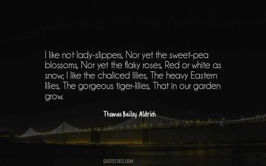 Quotes About Heavy Snow #510744