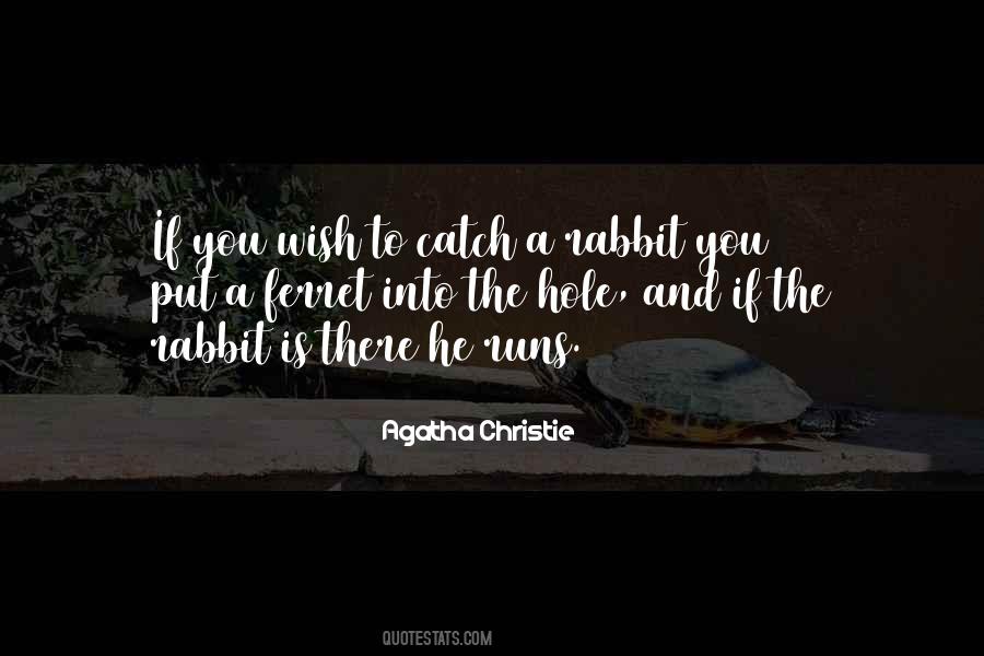 Quotes About Rabbit Hole #1470531