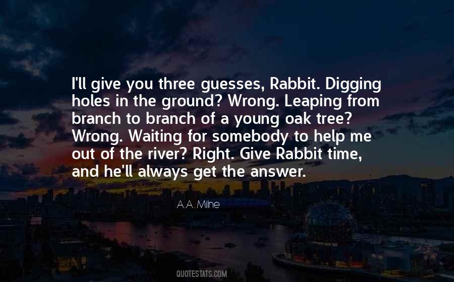 Quotes About Rabbit Hole #209867