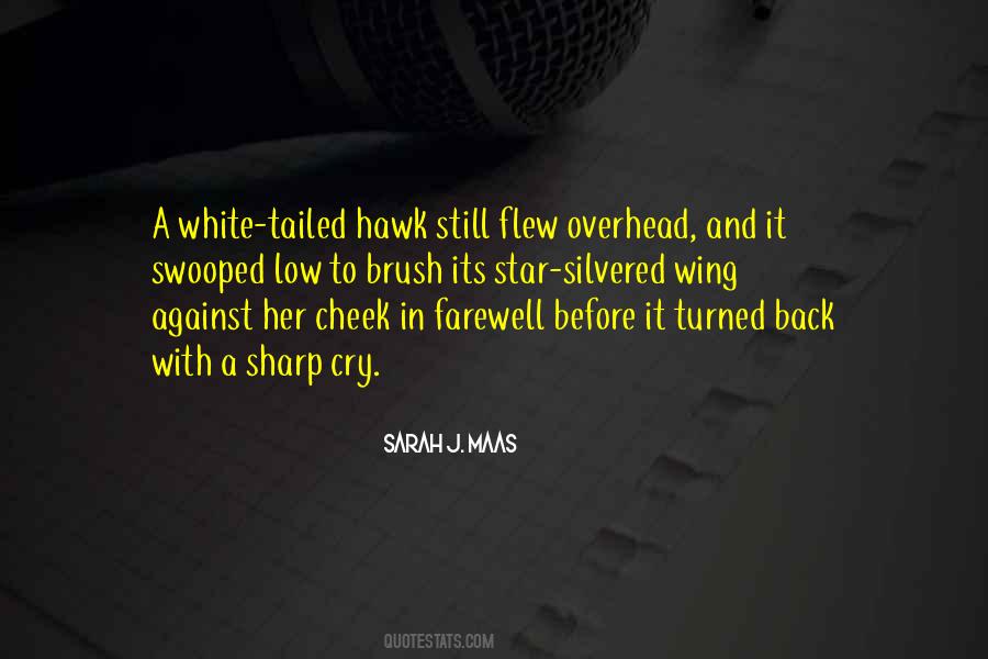 White Hawk Quotes #1385056