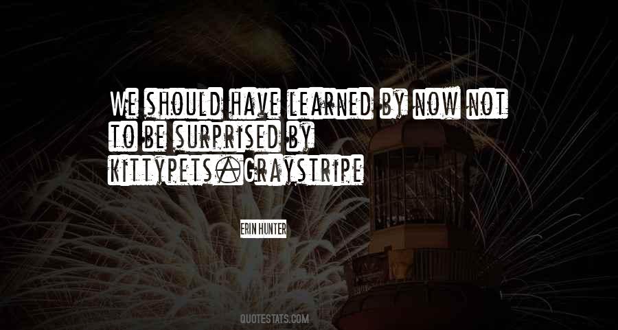 Quotes About Lessons Not Learned #1126472