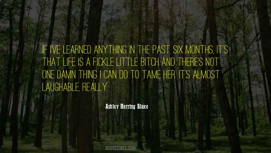 Quotes About Lessons Not Learned #1514399
