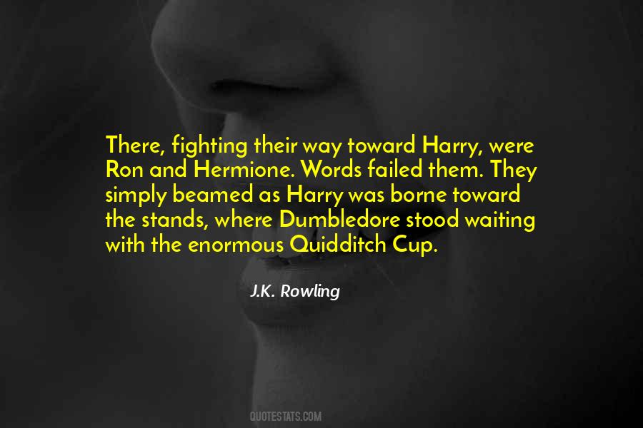 Quotes About Quidditch #1177780